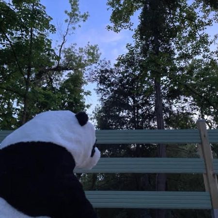 La Cabane Du Panda Abrest Экстерьер фото